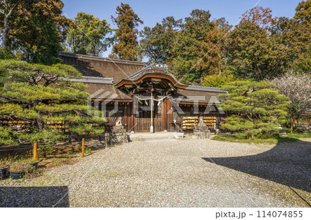 梅宮大社 本殿 梅宮大社 本殿 114074855