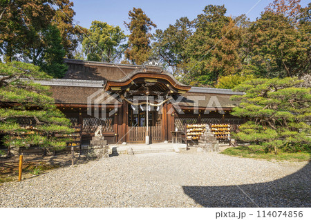 梅宮大社 本殿 梅宮大社 本殿 114074856