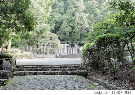 京都　天智天皇山科陵　参道の風景 114074953