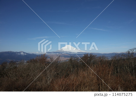 芦ノ湖スカイラインからの富士山 114075275