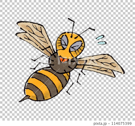 麻煩大黃蜂 麻煩大黃蜂 114075399