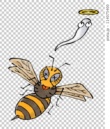 死黃蜂 死黃蜂 114075400
