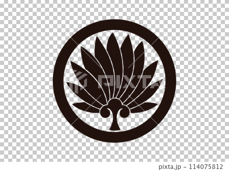 長溝家族棕櫚樹 114075812