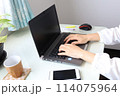 家のパソコンでタイピングする女性の手 114075964