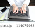 家のパソコンでタイピングする女性の手 114075968