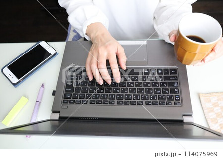 家のパソコンでタイピングする女性の手 114075969