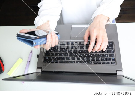 家のパソコンでタイピングする女性の手 114075972