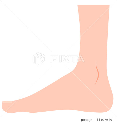 真横から見た足 114076191