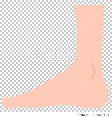 真横から見た足 114076191