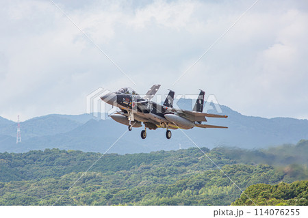 着陸するF-15戦闘機(アグレッサー) 着陸するF-15戦闘機(アグレッサー) 114076255
