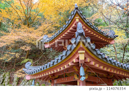 京都市右京区嵯峨の愛宕念仏寺（千二百羅漢の寺）　多宝塔と紅葉 114076354