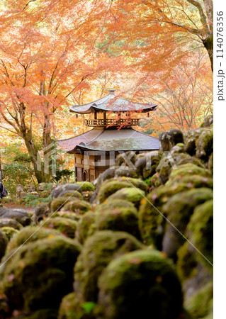 京都市右京区嵯峨の愛宕念仏寺（千二百羅漢の寺）　ふれ愛観音堂と紅葉 114076356