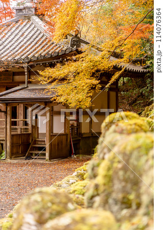 京都市右京区嵯峨の愛宕念仏寺(千二百羅漢の寺) 地蔵堂と紅葉 京都市右京区嵯峨の愛宕念仏寺(千二百羅漢の寺) 地蔵堂と紅葉 114076364
