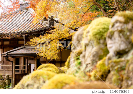 京都市右京区嵯峨の愛宕念仏寺(千二百羅漢の寺) 羅漢像と紅葉 京都市右京区嵯峨の愛宕念仏寺(千二百羅漢の寺) 羅漢像と紅葉 114076365