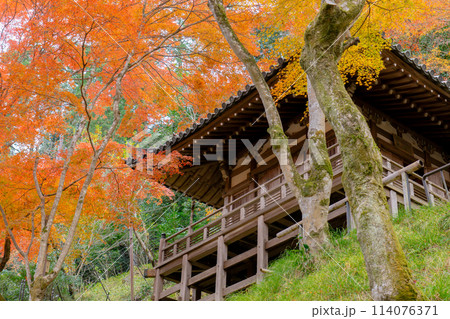 京都市右京区嵯峨の愛宕念仏寺（千二百羅漢の寺）　地蔵堂と紅葉 114076371