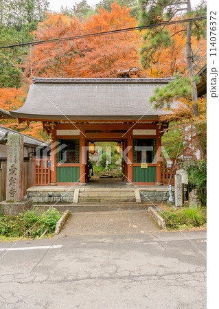 京都市右京区嵯峨の愛宕念仏寺(千二百羅漢の寺) 仁王門と紅葉 京都市右京区嵯峨の愛宕念仏寺(千二百羅漢の寺) 仁王門と紅葉 114076372