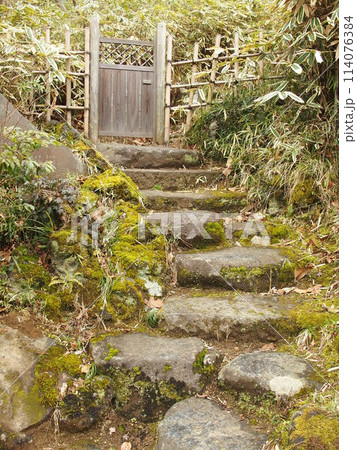 春の古民家の裏口風景 114076384