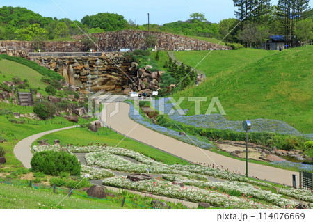 【香川県】晴天の国営讃岐まんのう公園のネモフィラ（青竜の谷と昇竜の滝） 114076669