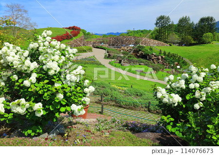 【香川県】晴天の国営讃岐まんのう公園(青竜の谷と昇竜の滝) 【香川県】晴天の国営讃岐まんのう公園(青竜の谷と昇竜の滝) 114076673
