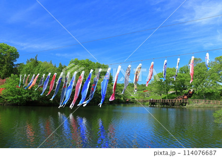 【香川県】晴天の国営讃岐まんのう公園のコイノボリ（飛竜の池） 114076687