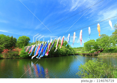 【香川県】晴天の国営讃岐まんのう公園のコイノボリ（飛竜の池） 114076719