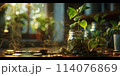 Sprout Growing in Coins Glass Jar Detailed and High Resolution 114076869