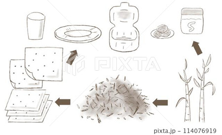 バガス(サトウキビの搾りカス)が紙皿や紙コップやランチボックスの容器になるまでの手描きイラスト バガス(サトウキビの搾りカス)が紙皿や紙コップやランチボックスの容器になるまでの手描きイラスト 114076919
