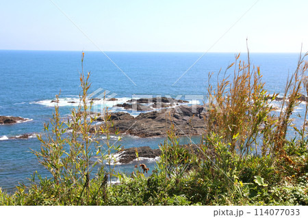 大王崎灯台　大王崎　灯台　三重県大王町　八満さん公園　伊勢湾　太平洋　県営波切漁港　波切九鬼城址　 114077033