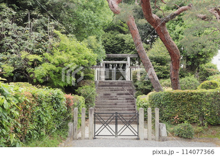 京都府宇治市　藤原氏一族の墓　宇治陵1号墳 114077366