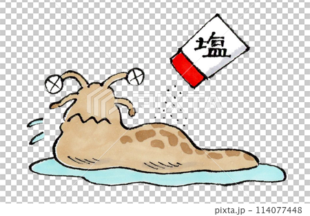 A slug being salted 114077448