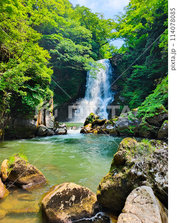 奈曽の白滝 114078085