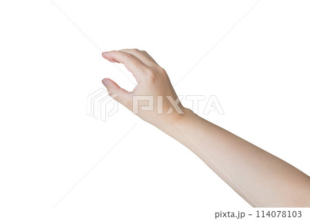 Woman hand gesture holding something isolated on white background 114078103