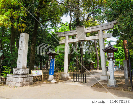 東京　調布市　布多天神社 114078188