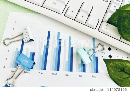 ビジネス資料データ 114078196