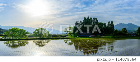 うららかな季節に水田に見事な日差し光芒リフレクション パノラマ風景(阿蘇郡南阿蘇村) うららかな季節に水田に見事な日差し光芒リフレクション パノラマ風景(阿蘇郡南阿蘇村) 114078364