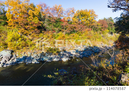埼玉長瀞の秋 紅葉見頃の荒川 蓬莱島 埼玉長瀞の秋 紅葉見頃の荒川 蓬莱島 114078587