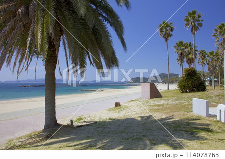淡路島・阿万海岸(あまかいがん)海水浴場/白い砂浜と透き通る海 淡路島・阿万海岸(あまかいがん)海水浴場/白い砂浜と透き通る海 114078763