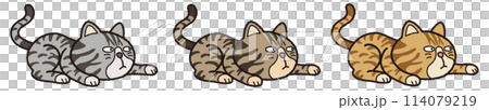 A tiger cat aiming for prey A tiger cat aiming for prey 114079219