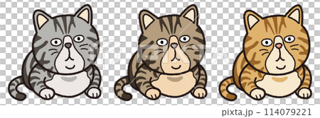 行儀の良いトラ猫 114079221