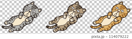Lying tabby cat Lying tabby cat 114079222