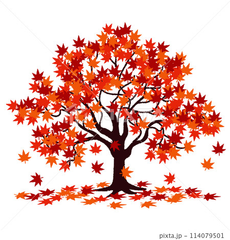 【原画】創作イラスト 紅葉 紅葉の木のイラストのイラスト素材 [114079501] - PIXTA