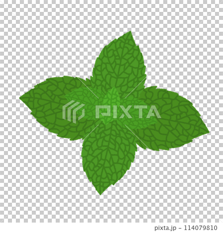 Mint illustration Mint illustration 114079810