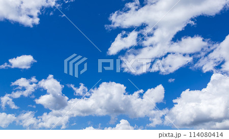 真夏の真っ青な青空に流れるたくさんの雲 真夏の真っ青な青空に流れるたくさんの雲 114080414