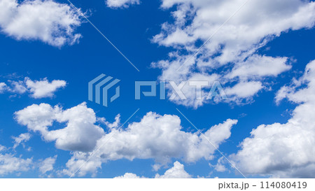 真夏の真っ青な青空に流れるたくさんの雲 114080419