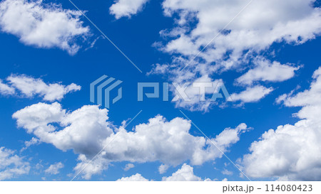真夏の真っ青な青空に流れるたくさんの雲 114080423
