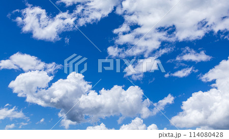 真夏の真っ青な青空に流れるたくさんの雲 真夏の真っ青な青空に流れるたくさんの雲 114080428