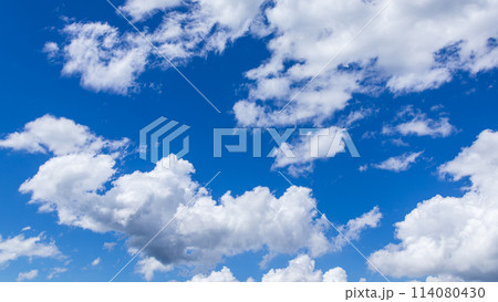 真夏の真っ青な青空に流れるたくさんの雲 114080430