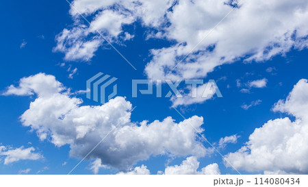 真夏の真っ青な青空に流れるたくさんの雲 真夏の真っ青な青空に流れるたくさんの雲 114080434