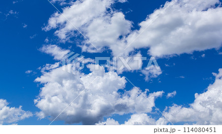 真夏の真っ青な青空に流れるたくさんの雲 真夏の真っ青な青空に流れるたくさんの雲 114080451