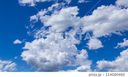真夏の真っ青な青空に流れるたくさんの雲 114080460